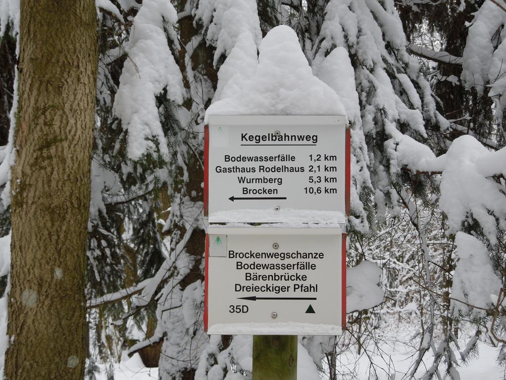 Blockhaus Bodefall Braunlage Habitación foto