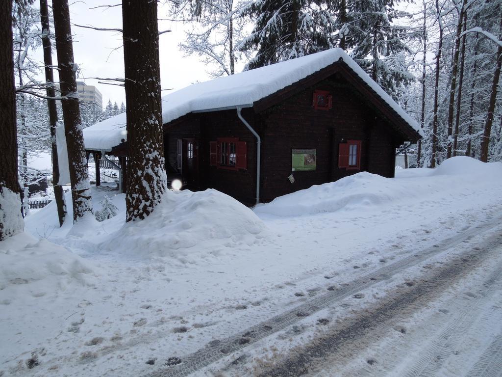 Blockhaus Bodefall Braunlage Habitación foto
