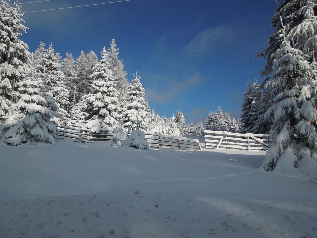 Blockhaus Bodefall Braunlage Habitación foto