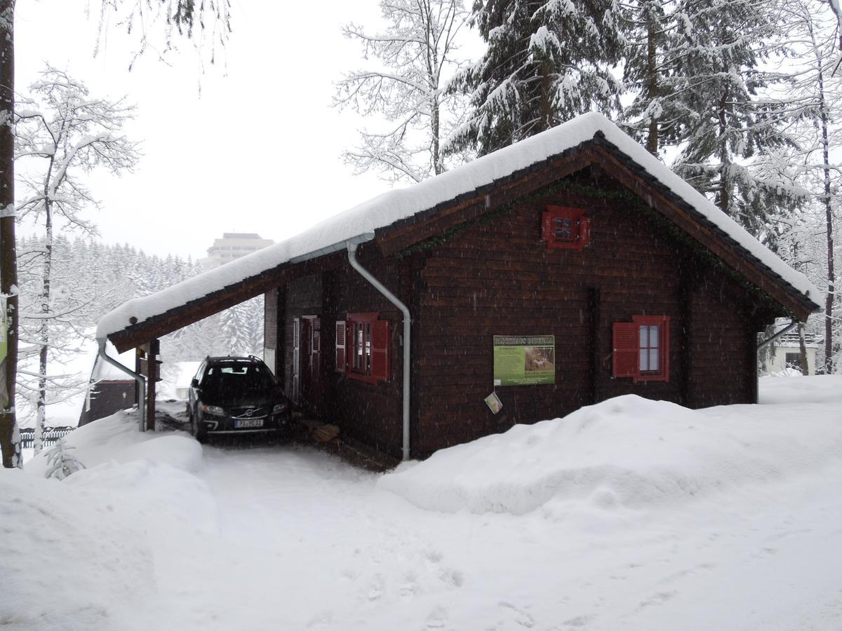 Blockhaus Bodefall Braunlage Exterior foto